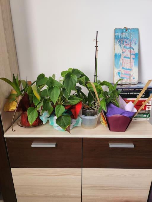 Modern Apartment. Best Location โซเฟีย ภายนอก รูปภาพ